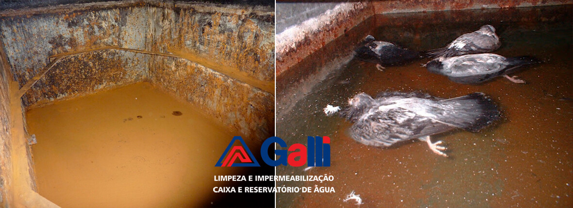 Caixa de água contaminada por falta de limpeza